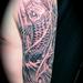 Tattoos - Koi & Lous - 56502